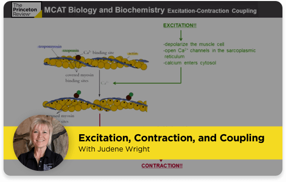 MCAT Ultimate Video