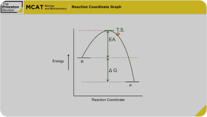 Biology - Kinectics and the Reaction Coordinate Graph